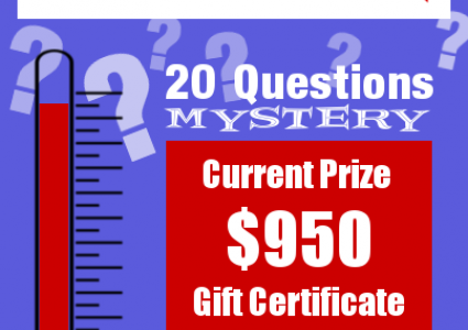 20 Questions Mystery - Round 2