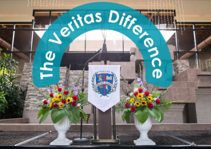 The Veritas Difference