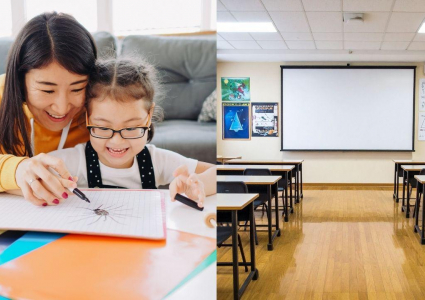 Homeschool vs. Public School