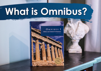 What exactly is Omnibus?