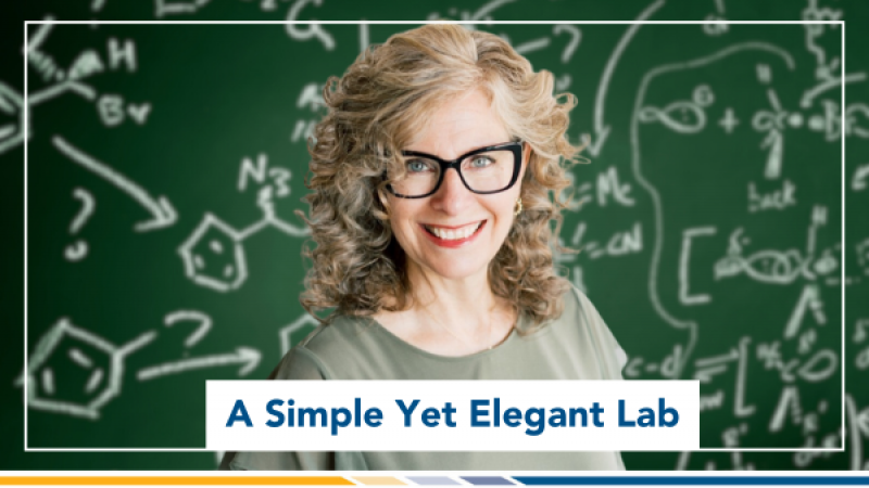 A Simple Yet Elegant Lab | Elizabeth Nelson