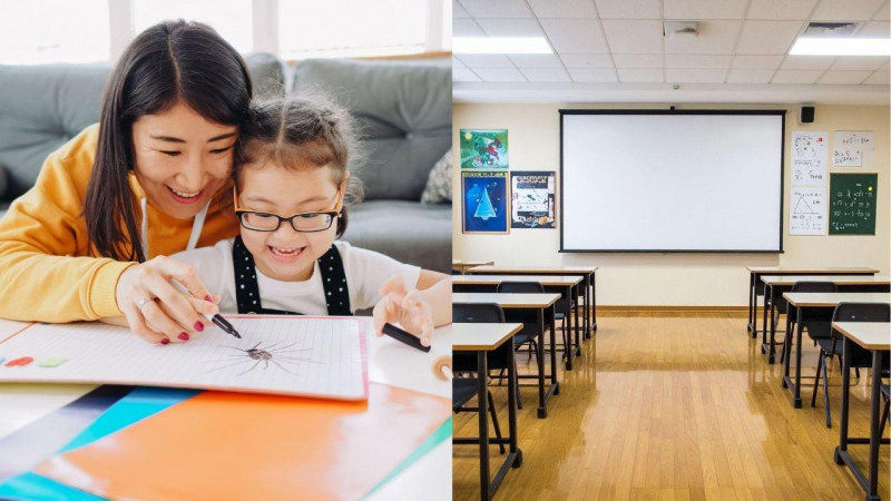 Homeschool vs. Public School