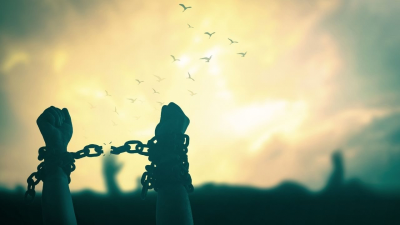 The Seven Liberal Arts and Classical Education