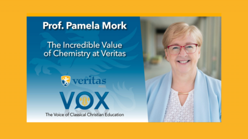 The Incredible Value of Chemistry at Veritas | Pamela Mork