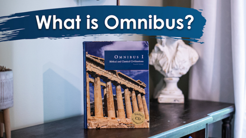 What exactly is Omnibus?