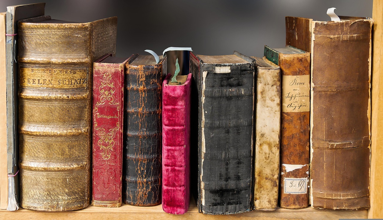 Reseller Information christmas background, book, read, old, literature, books, bookshelf, old books, hardcover, hardback, cover, collection, library, historically, leather covers, bookcase, used books, stories, reading, knowledge, bookworm