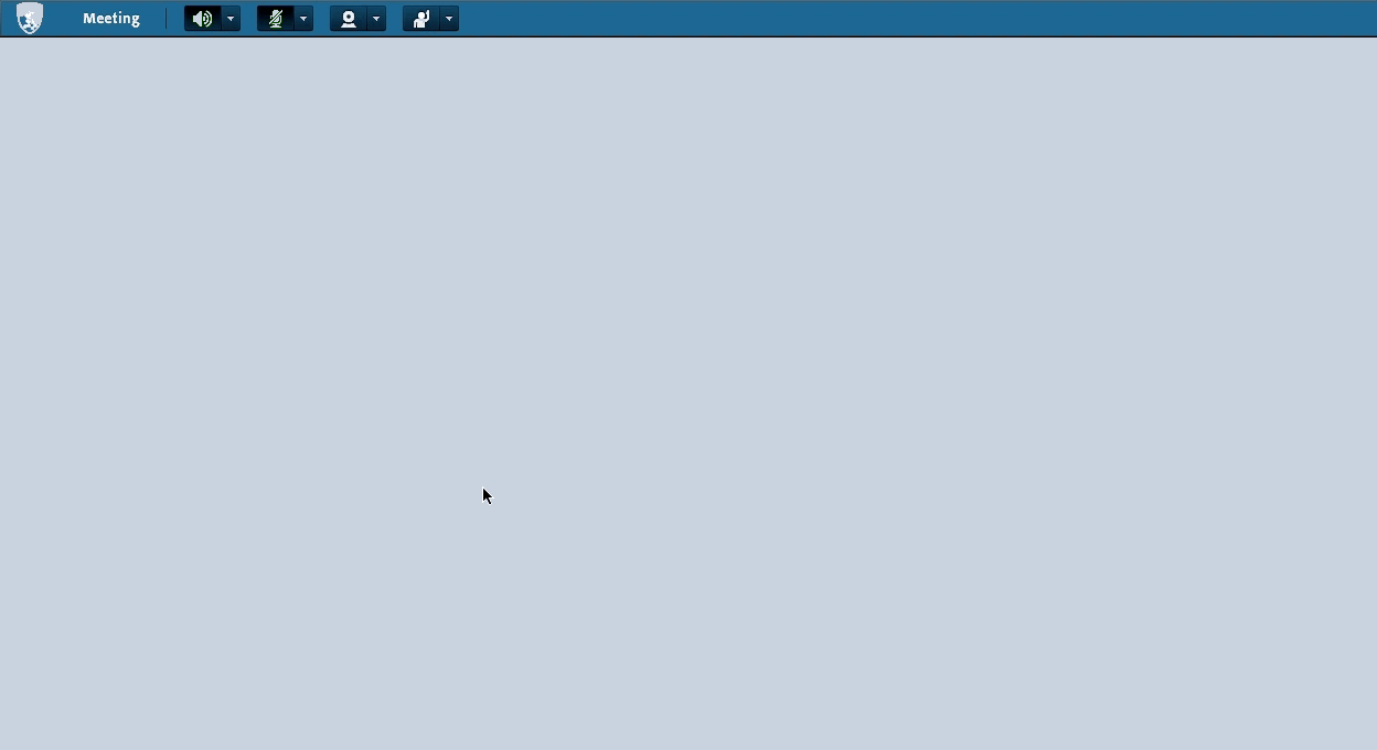 Speaker and Microphone Setup in the Meeting menu
