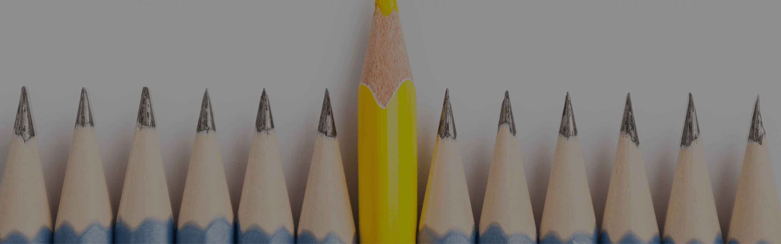 What Makes Us Unique what makes us different banner